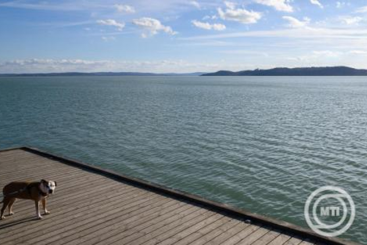 Folytatódik a napos, tavaszias idő ezen a héten is